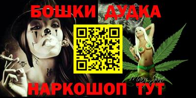 индика Бердск