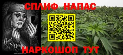 индика Бердск